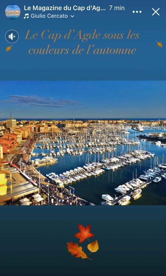 Studio La Grande Roue Vue Magnifique آجد المظهر الخارجي الصورة